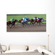 Race Horses Wall Decal Design 1
