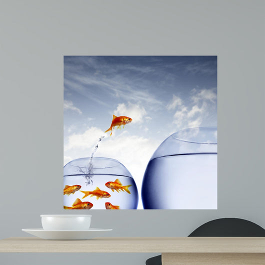 Goldfish Jumping out Water Wall Decal