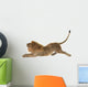 Male Lion Wall Decal Design 3