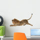Male Lion Wall Decal Design 3