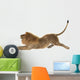 Male Lion Wall Decal Design 3