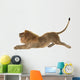 Male Lion Wall Decal Design 3