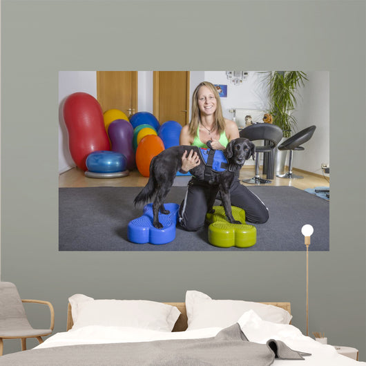 Tierphysiologie Wall Decal