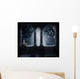 Macabre Window Wall Decal
