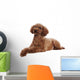 Pretty Poodle Wall Decal