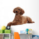 Pretty Poodle Wall Decal