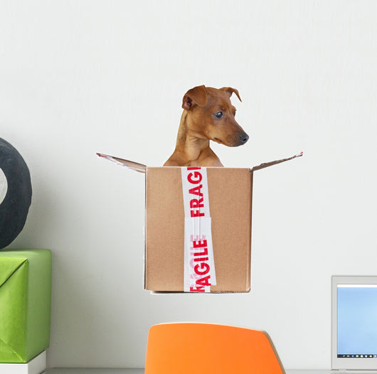 Fragile Dog Wall Decal
