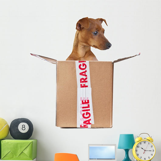 Fragile Dog Wall Decal