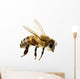 Bee Wall Decal Design 2
