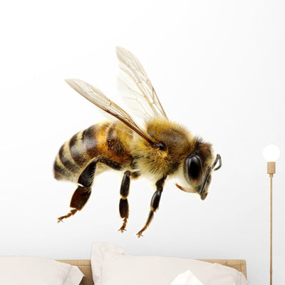 Bee Wall Decal Design 2 shown on a wall
