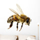 Bee Wall Decal Design 2