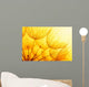 Dandelion Flower Wall Decal