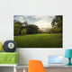Green Grass Field Public Wall Decal
