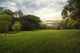 Green Grass Field Public Wall Decal