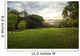 Green Grass Field Public Wall Decal
