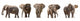 Five African Elephants Wall Decal Panoramic Wall Decal