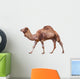 Camel White Wall Decal