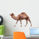 Camel White Wall Decal