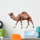 Camel White Wall Decal