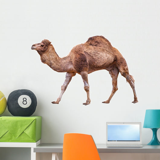 Camel White Wall Decal