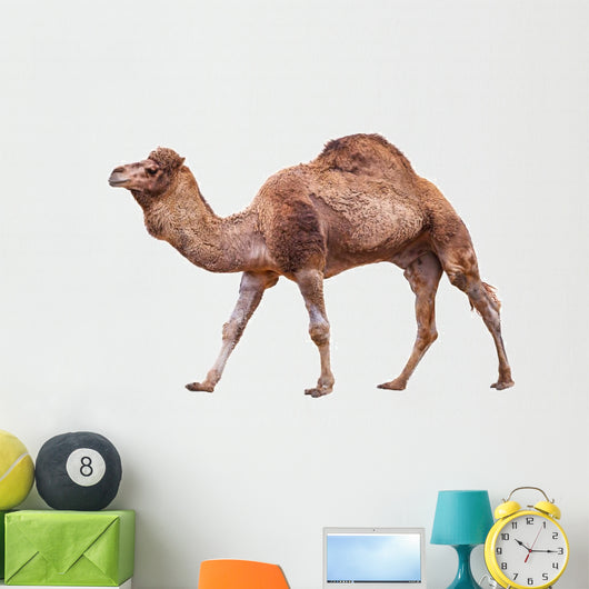 Camel White Wall Decal