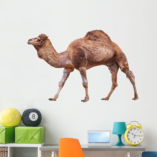 Camel White Wall Decal