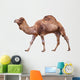 Camel White Wall Decal