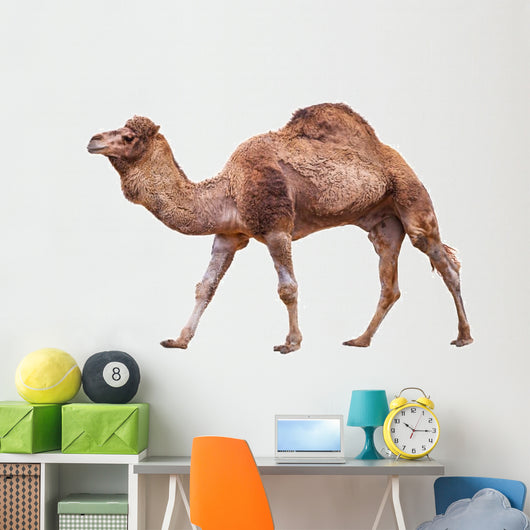 Camel White Wall Decal