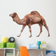 Camel White Wall Decal