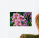 Branch Gently Pink Orchid Wall Decal
