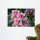 Branch Gently Pink Orchid Wall Decal