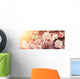 Spring Cherry Blossoms Wall Decal