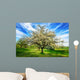 Idyllische Fr Hlingslandschaft Wall Decal
