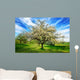 Idyllische Fr Hlingslandschaft Wall Decal