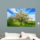 Idyllische Fr Hlingslandschaft Wall Decal