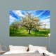 Idyllische Fr Hlingslandschaft Wall Decal