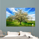 Idyllische Fr Hlingslandschaft Wall Decal