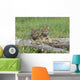 Wolf Cubs Wall Decal