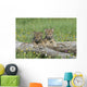 Wolf Cubs Wall Decal