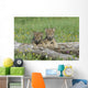 Wolf Cubs Wall Decal