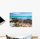 Galapagos Sea Wall Decal