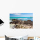 Galapagos Sea Wall Decal
