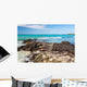 Galapagos Sea Wall Decal