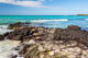 Galapagos Sea Wall Decal