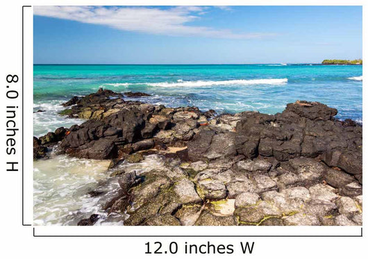 Galapagos Sea Wall Decal