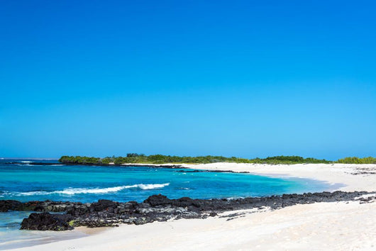 Galapagos White Sand Beach Wall Decal
