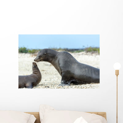 Sea Lion Mother and Wall Decal shown on a wall