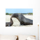 Sea Lion Mother and Wall Decal