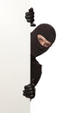 Sneaky Burglar Ninja Wall Decal