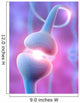 Receptor Wall Decal